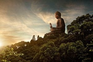Read more about the article Budismo Humanista: um caminho de vida