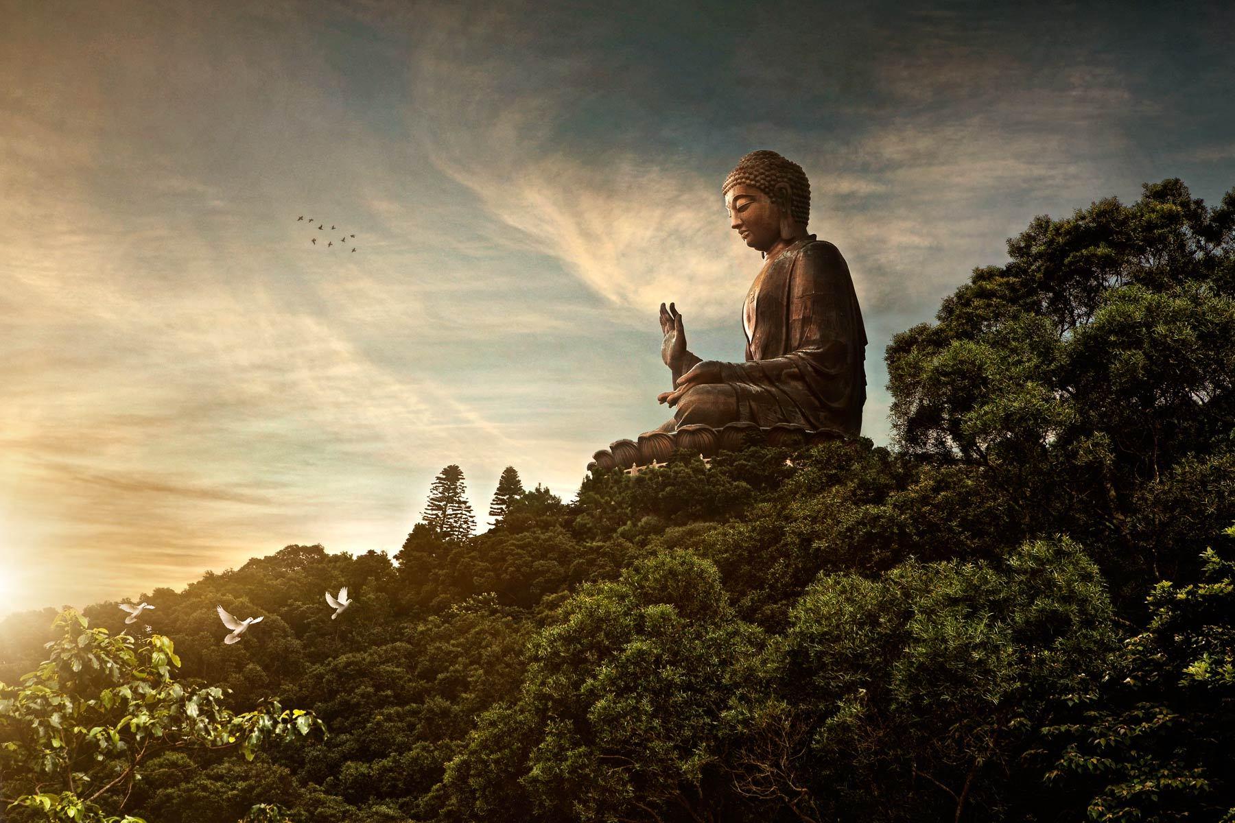 Read more about the article Budismo Humanista: um caminho de vida